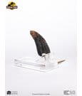Jurassic Park 1/1 Replica Velociraptor Toenail Type A 11 cm by Elite Creature Collectibles