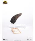 Jurassic Park 1/1 Replica Velociraptor Toenail Type A 11 cm by Elite Creature Collectibles