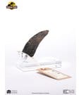 Jurassic Park 1/1 Replica Velociraptor Toenail Type A 11 cm by Elite Creature Collectibles