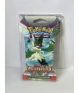 Evoretro PET Protectors for Pokémon TCG Booster Pack 0 mm (10-Pack) by Evoretro