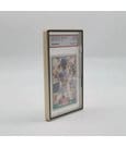 Slab Case Protectors for PSA Graded Cards Gold by Evoretro