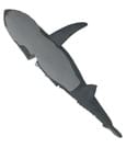 Jaws Prop Replica 1/1 Mechanical Bruce Shark 13 cm by Factory Entertainment