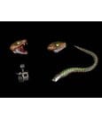 Cosmic Character Pack Action Figure Accessory Experiment CC-24 Upgrade Set by Four Horsemen Toy Design