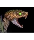 Cosmic Character Pack Action Figure Accessory Experiment CC-24 Upgrade Set by Four Horsemen Toy Design