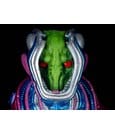 Cosmic Character Pack Action Figure Accessory Opor-a-Tiv83 Upgrade Set by Four Horsemen Toy Design