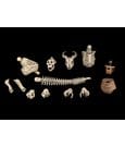 Mythic Legions: Reinforcement 3 Action Figure Accessory Skeleton Soldiers Add-On Set by Four Horsemen Toy Design