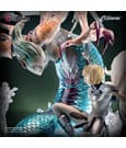 Claymore Elite Exclusive Statue 1/6 Clare vs. Ophelia 69 cm by Figurama Collectors