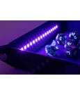 FanRoll Shadowlight Folding Blacklight Dice Tray Black by FanRoll