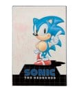 Sonic - The Hedgehog Ingot Limited Edition by FaNaTtik