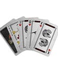 Jurassic Park Playing Cards Gift Shop Display (12) by FaNaTtik