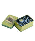 Fallout Bottle Caps Series Replica Collectib Tin by DEVplus
