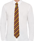 Harry Potter Tie & Metal Pin Deluxe Box Gryffindor by Cinereplicas