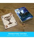Harry Potter Playing Cards Wizarding World by Aquarius
