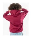 Harry Potter Hooded Sweater Gryffindor Deluxe by CID