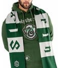 Harry Potter Scarf Slytherin Long Length by CID