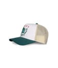 Pokémon Trucker Cap Bulbasaur by Difuzed