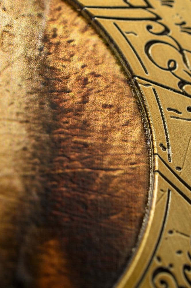 AAA Merchandise Lord of the Rings Coin with Display Stand The Fellowship | Makochan