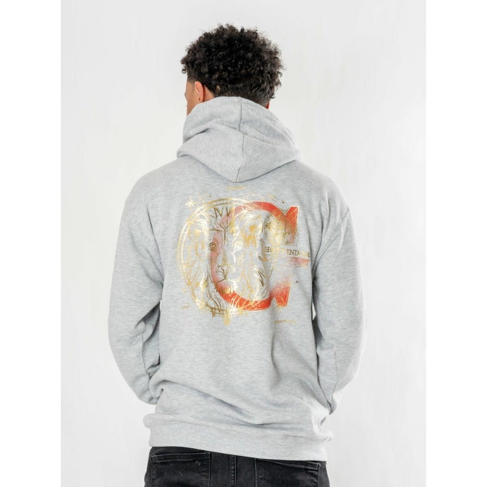 CID Harry Potter Hooded Sweater Gryffindor Zodiac | Makochan