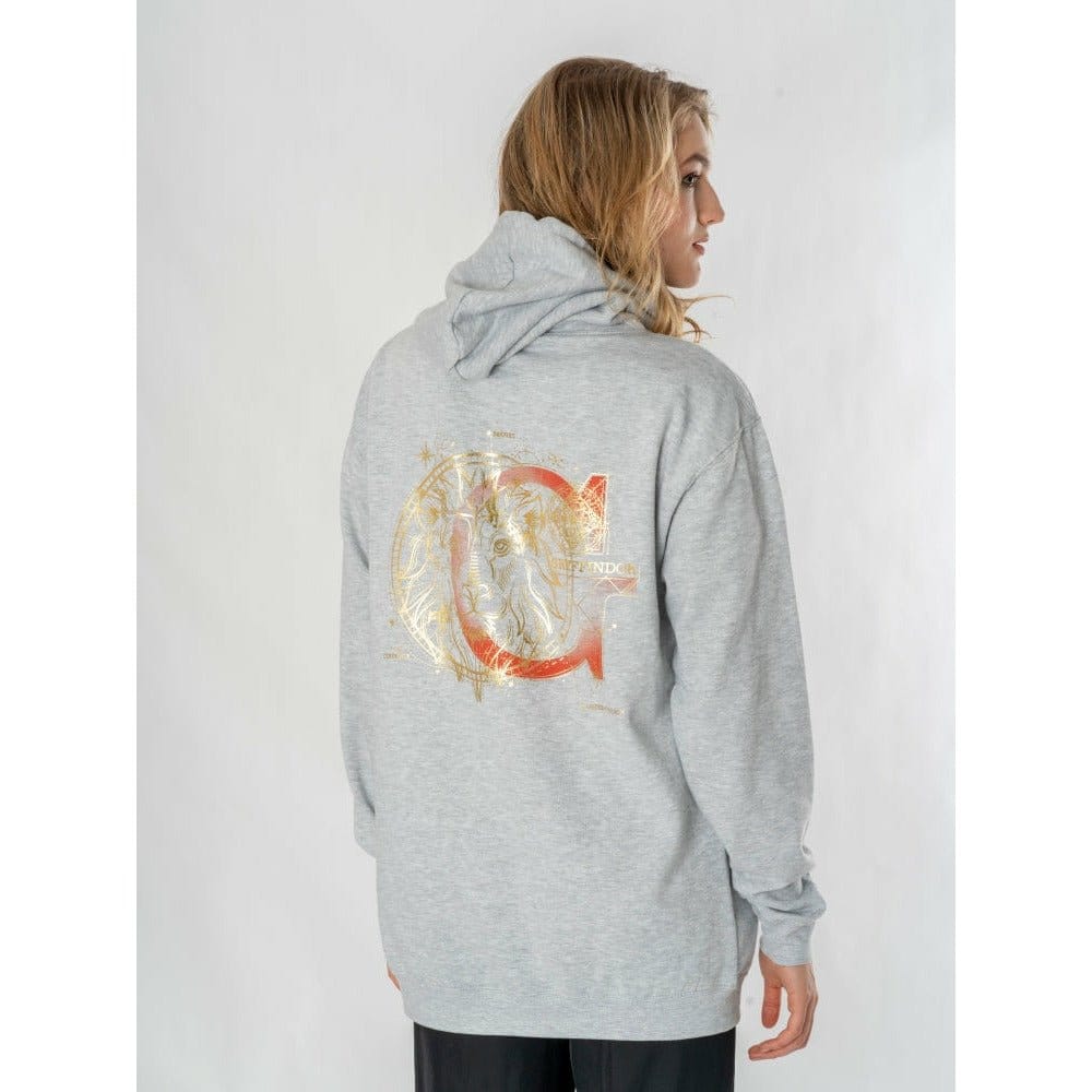 CID Harry Potter Hooded Sweater Gryffindor Zodiac | Makochan