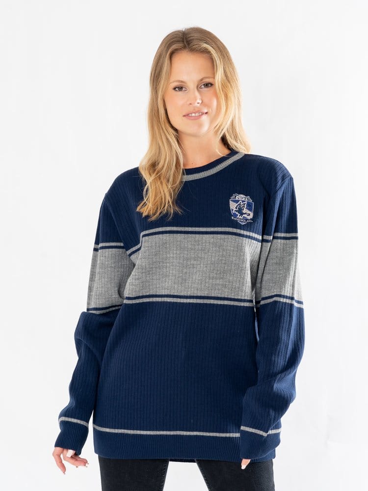 CID Harry Potter Sweater Ravenclaw | Makochan