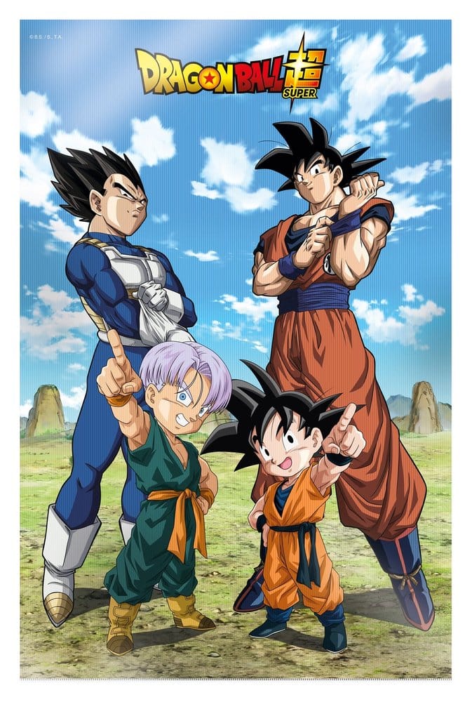 SD Toys Dragon Ball Super 3D Poster Battle of Gods Goku Vegeta Family 38 x 58 cm | Makochan